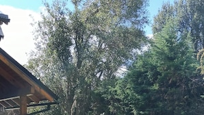 An outdoor barbecue setup with a grill, a table with various cheeses, meats, and olives, and a glass of wine. - Between Lakes and Mountains • Your Place in Bariloche (San Carlos de Bariloche)