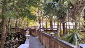 A wooden boardwalk surrounded by trees and a body of water. - Lakefront Condo 1 Mile to Disney w/ Pool, Hot Tub (Orlando)