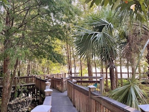 A wooden boardwalk surrounded by trees and a body of water. - Lakefront Condo 1 Mile to Disney w/ Pool, Hot Tub (Orlando)