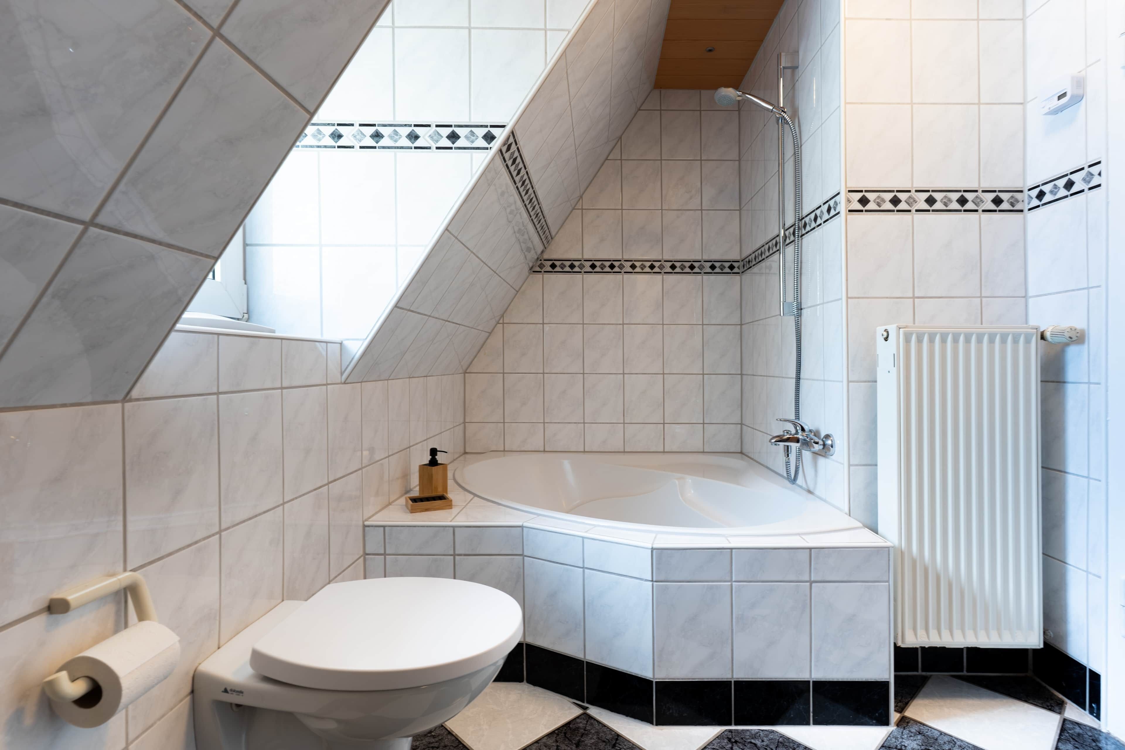 Hair dryer, towels, toilet paper