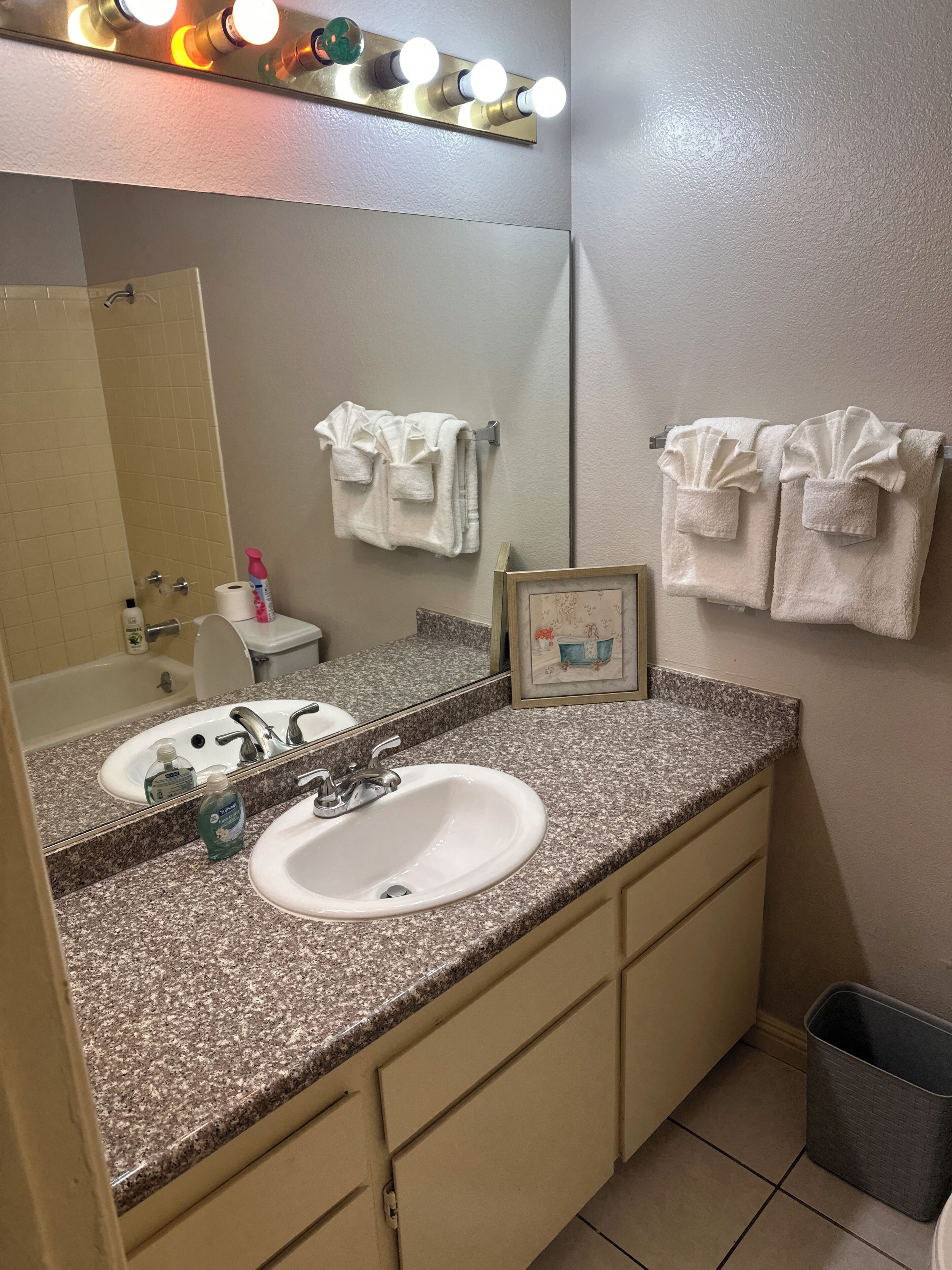 Hair dryer, towels, soap, toilet paper