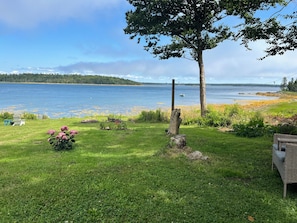 A grassy area with a chair, a tree, and a view of a lake.