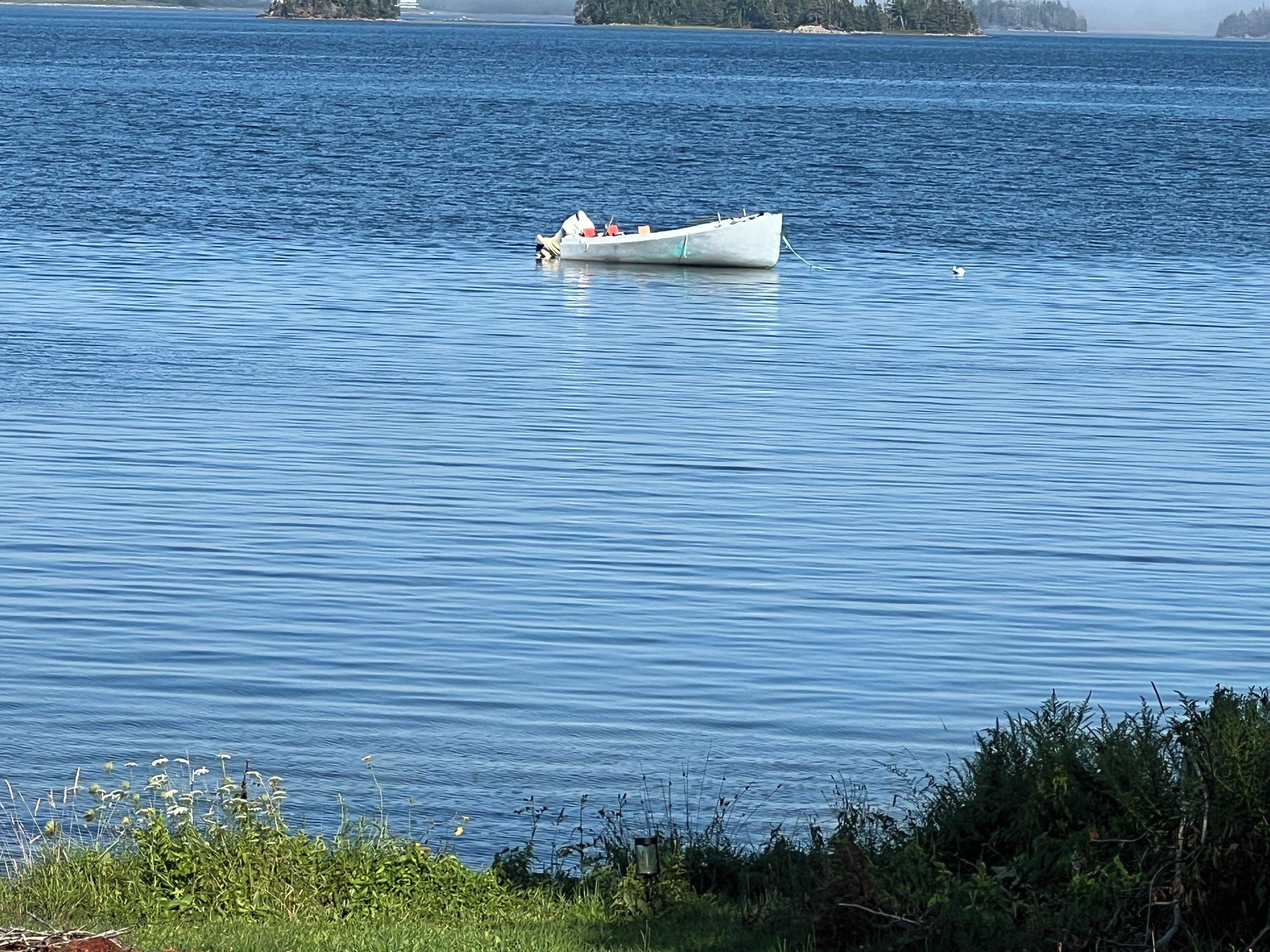 Una masa de agua tranquila con un pequeño bote anclado cerca de la orilla.