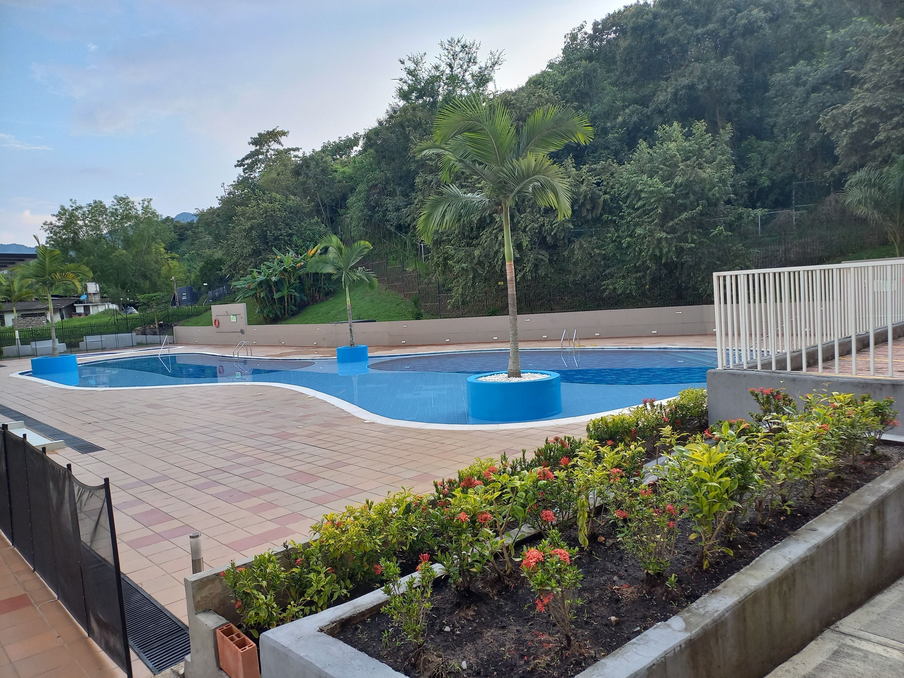 A swimming pool with a tiled deck, surrounded by plants and a fence.