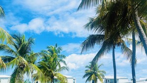 A road flanked by palm trees and white buildings, leading to a beach. - NEW LISTING: Stylish, scenic & renovated condo steps from Caribbean in Red Hook! (St Thomas)