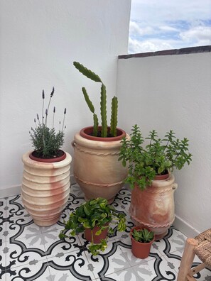 Property grounds - Apartamento indivual con impresionante terraza con vistas (Canillas de Aceituno)