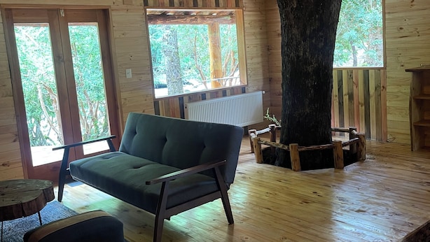 Ein Holzblockhaus-Innenraum mit einer Couch, einem Esstisch und einem großen Baumstamm in der Mitte.