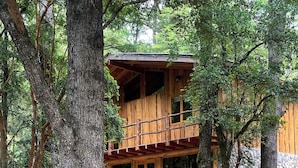 Eine zweistöckige Holzhütte, umgeben von Bäumen.