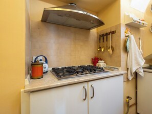 Une cuisine équipée d’une cuisinière à gaz, d’une hotte aspirante et d’un pare-feu en carreaux.