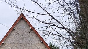 A stone building with a red window and door, surrounded by a grassy area and trees. - House by the river, 12 kms from the sea, shops, 10 km from Caen (Cairon)