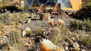 A geodesic dome tent with a clear roof, surrounded by desert vegetation and rocks.