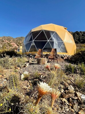 Exterior - Vrbo Property (Potrerillos)
