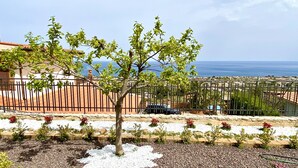 Ein Baum in einem Garten mit Blick auf das Meer und einem Zaun im Hintergrund.