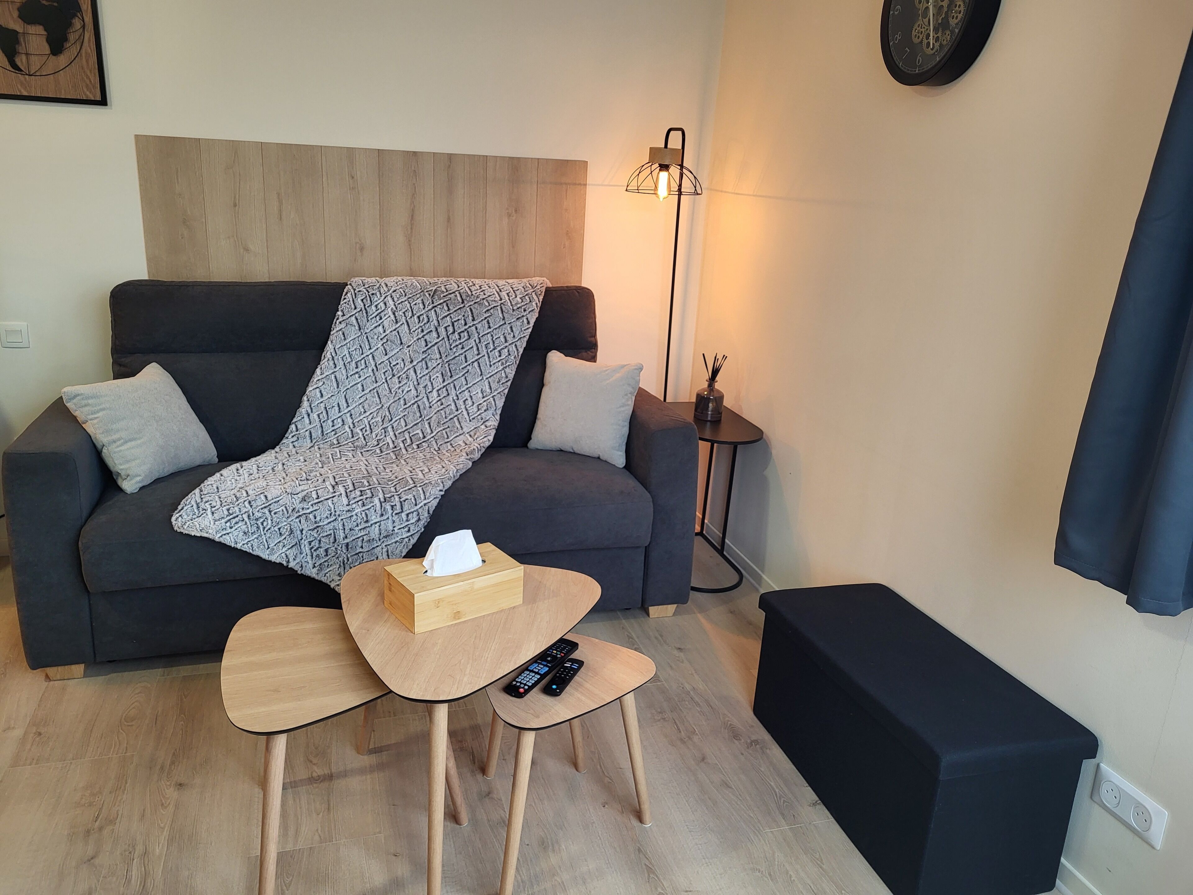 Un salon avec un canapé foncé, un plaid à motifs, une petite table d’appoint en bois sur laquelle se trouvent une boîte de mouchoirs et des télécommandes, un lampadaire et un haut-parleur noir.