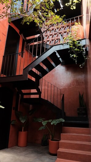 Eine Wendeltreppe mit Metallgeländer, umgeben von Kübelpflanzen und einer roten Wand.