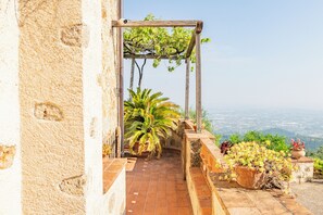 Ein steiniger Weg führt zu einer Holzpergola mit Pflanzen, mit Blick auf eine Stadtlandschaft.