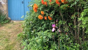 A blue door with a stone wall backdrop, surrounded by lush greenery and vibrant orange flowers.