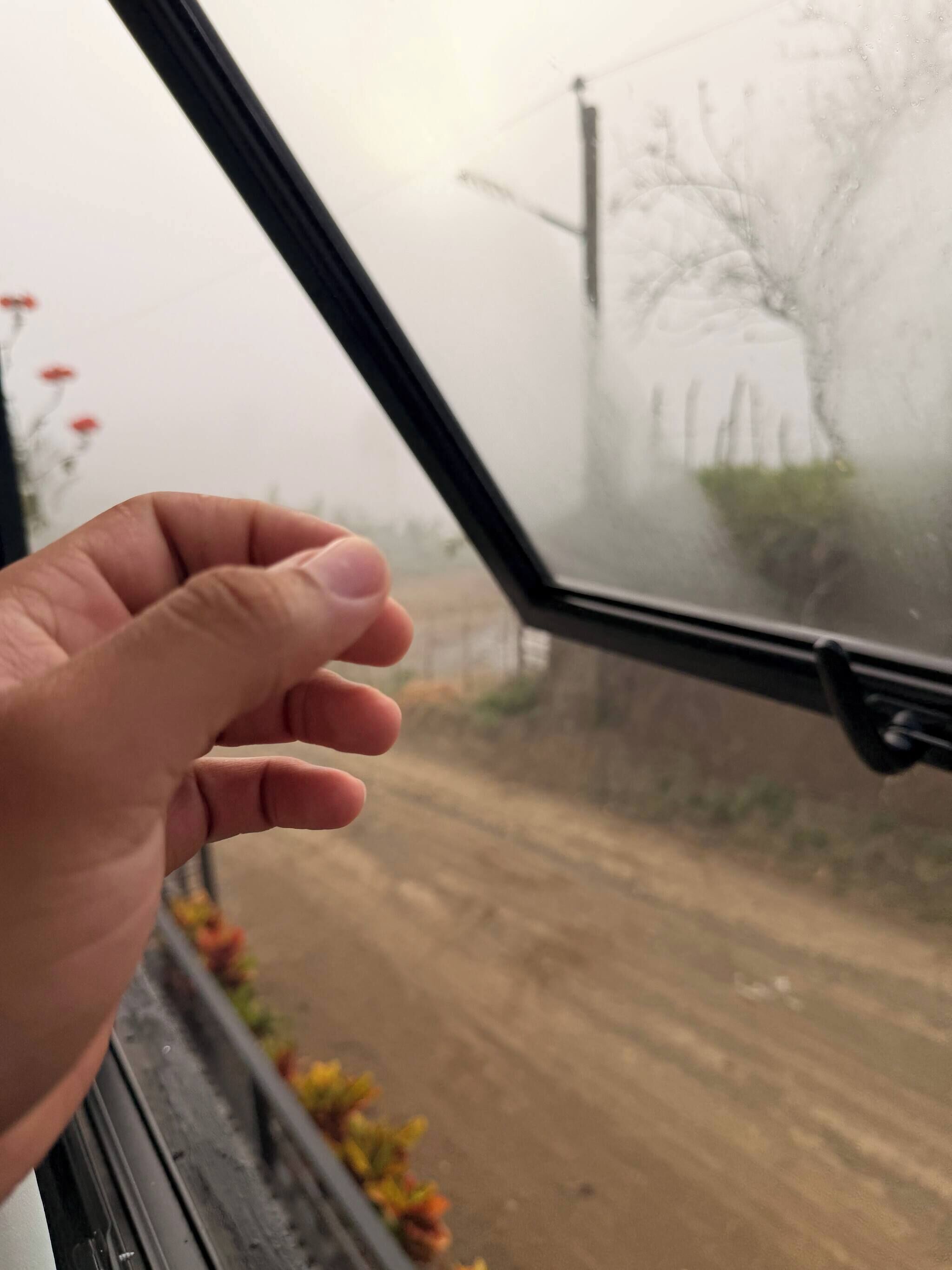 Una mano sostiene un marco de ventana, con vistas a una carretera y algo de vegetación.