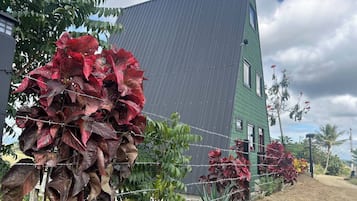 Cabin, 3 Bedrooms, Accessible, Balcony | Property grounds