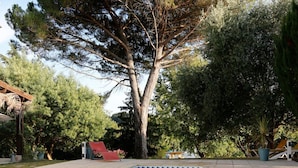 A swimming pool with a tree in the background. - À l'ombre du grand pin - Bed and breakfast on the banks of the Lot and artist's studio! (Saint-Sylvestre-sur-Lot)