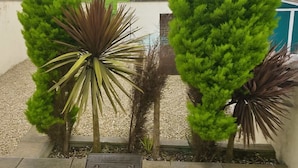 Jardim no terraço com plantas em vasos e vista para um campo verde.
