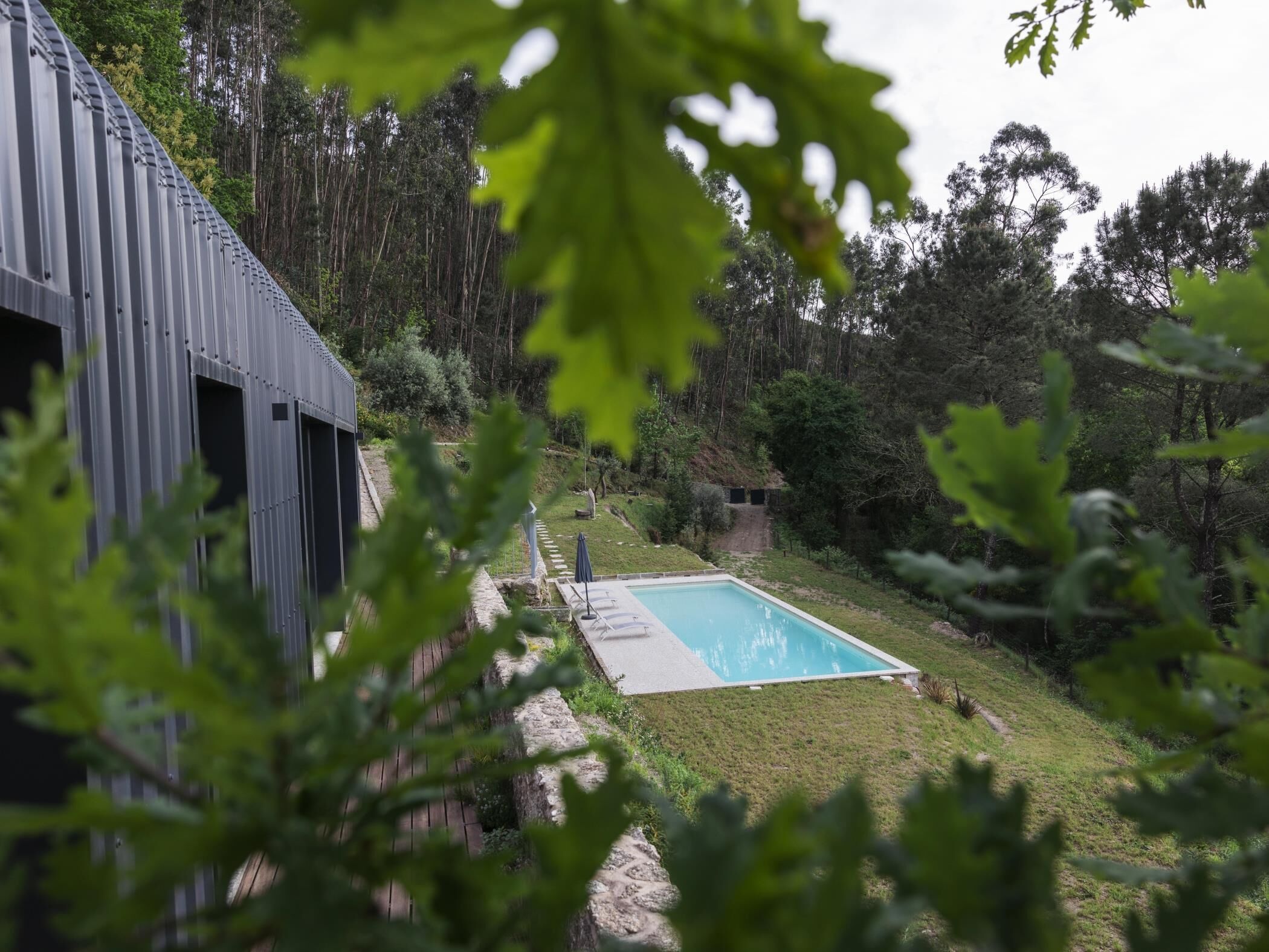 En swimmingpool omgivet af en græsplæne med træer, en bygning med metalbeklædning og en sti af sten.