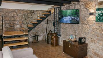 TV, fireplace