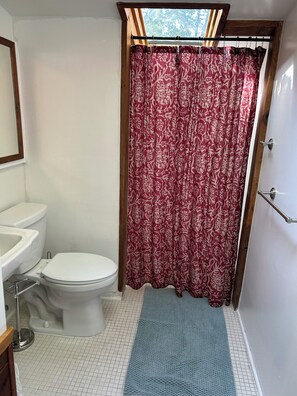 Shower, towels, soap, toilet paper