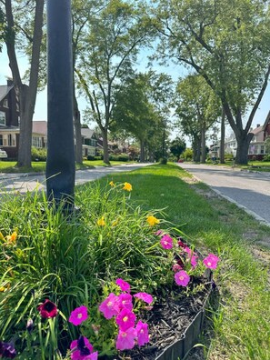 Exterior detail - Arcade, Close to Fall, 4bdrm,  off street Parking (Niagara Falls)