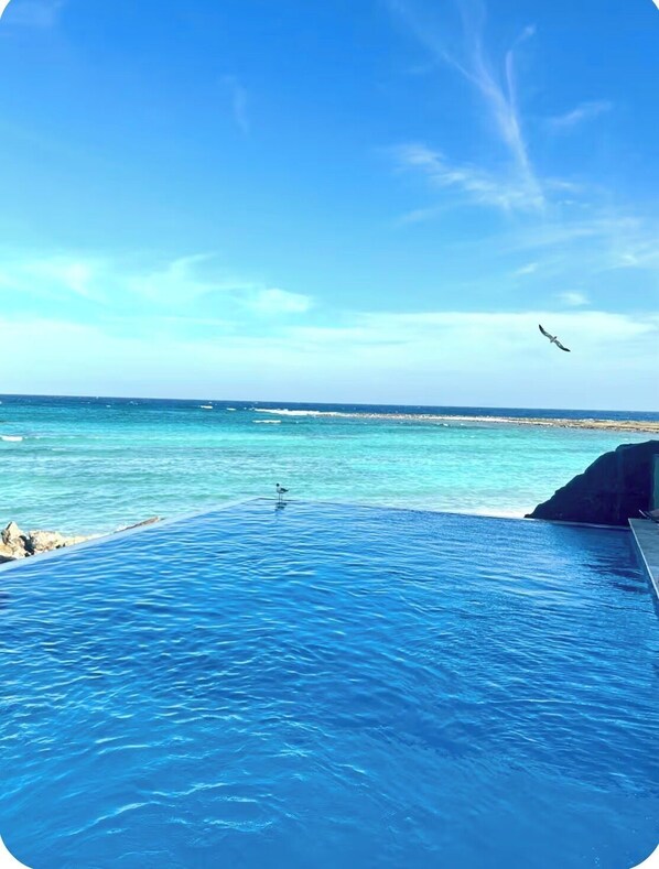 A clear blue sky, a calm sea, and a bird flying.