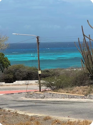 A coastal road with a clear view of the ocean and a cactus in the foreground.