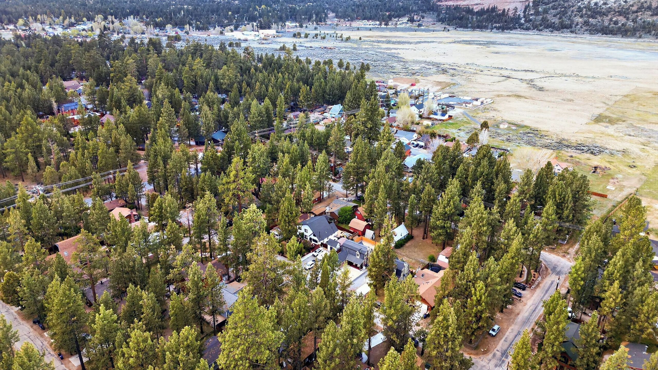 An aerial view of a residential area with houses surrounded by dense forest, a main road, and a distant view of a larger town.
