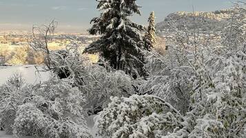 Paesaggio innevato con un grande conifero e una pila di legna.