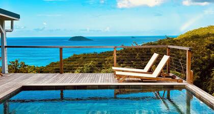 LUXURY TROPICAL VILLA IN DESHAIES