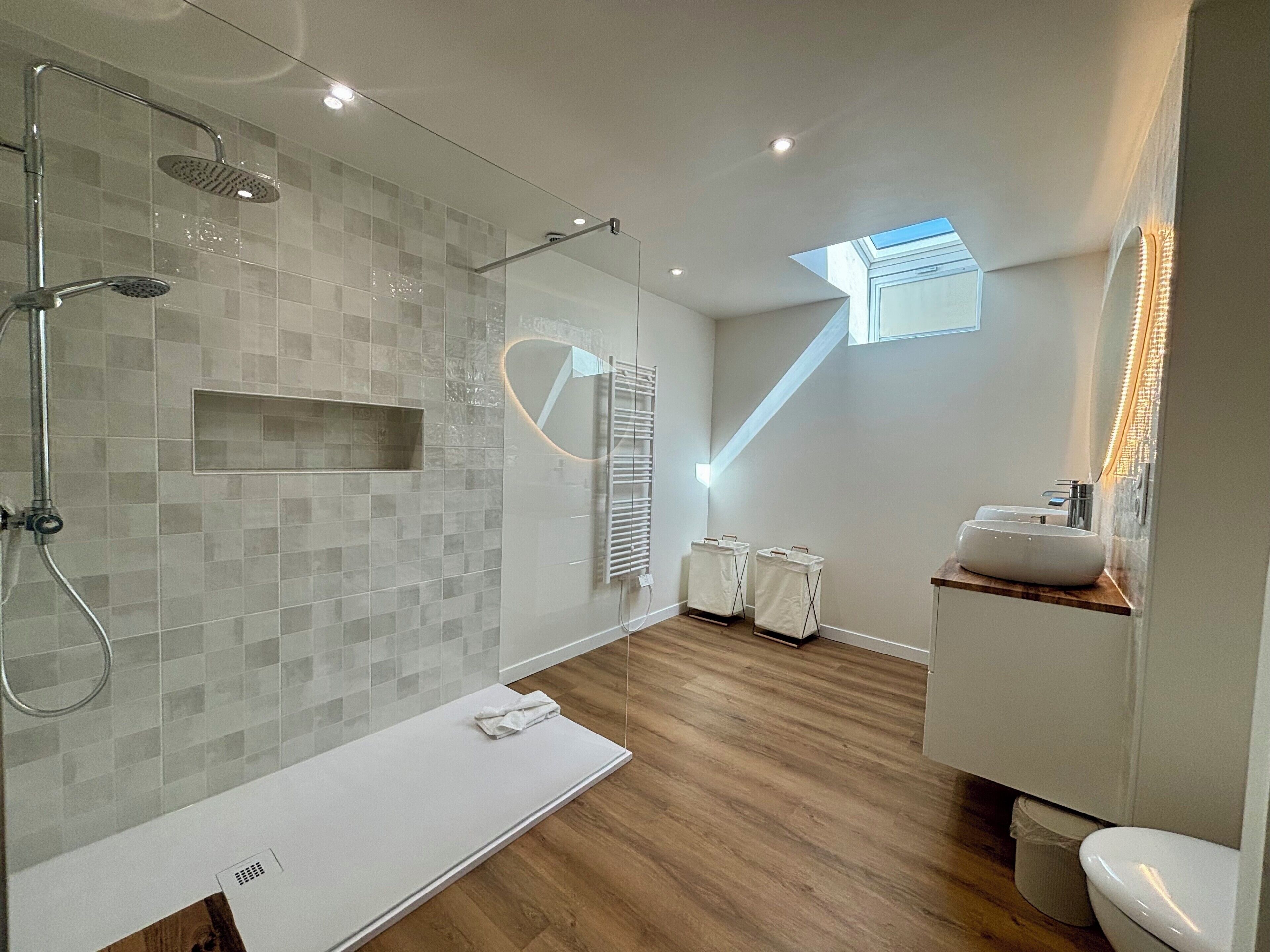 Shower, hair dryer, towels