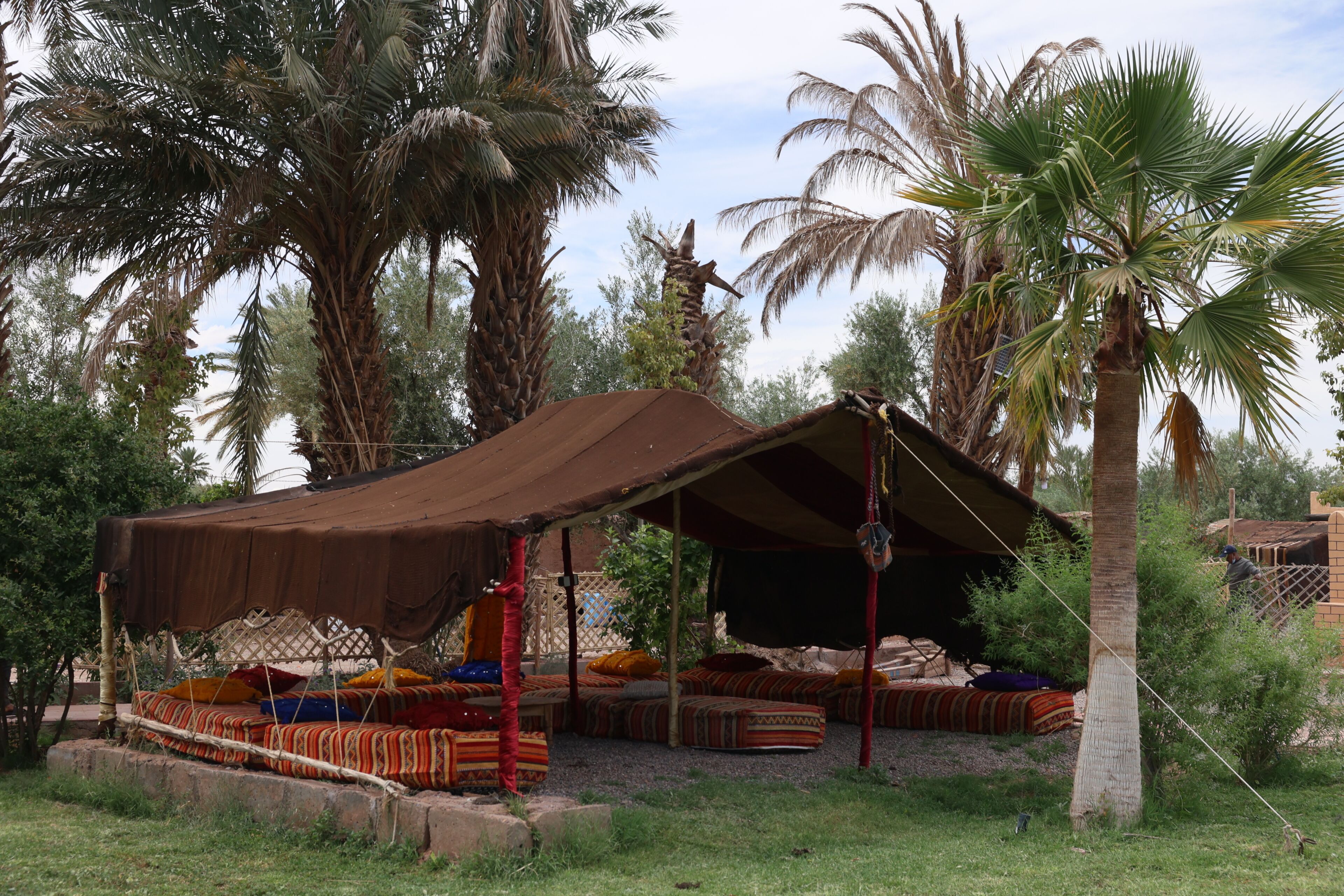 A tent with a thatched roof, surrounded by palm trees and a grassy area.