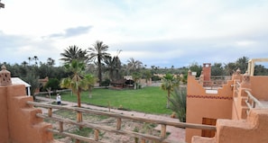 A courtyard with palm trees, a covered seating area, and traditional architecture.