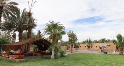 Room in a farmhouse with terrace and garden in the heart of the palm grove