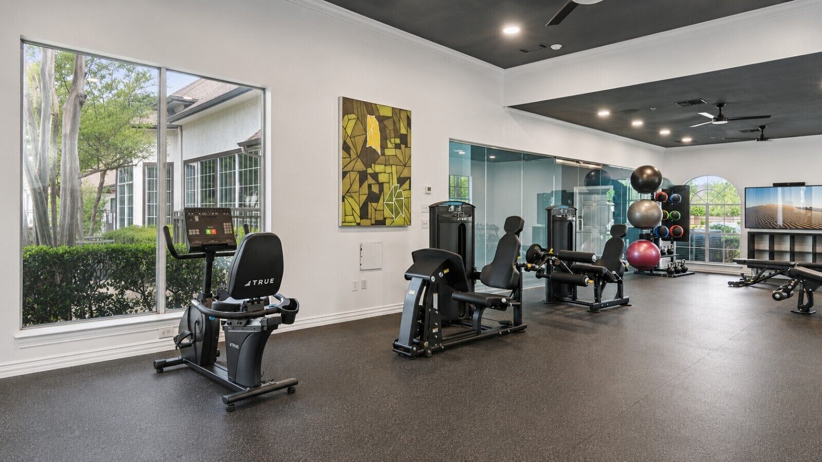 A gym with cardio machines, weightlifting equipment, and exercise balls.