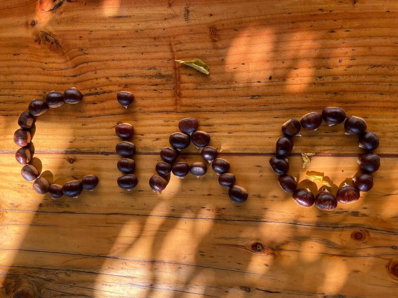 Aus Kastanien wurde das Wort 'Ciao' auf einer Holzfläche gelegt.