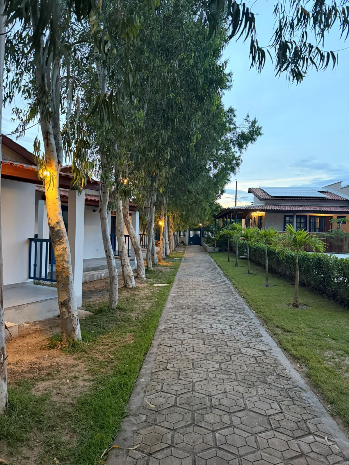 Área da propriedade