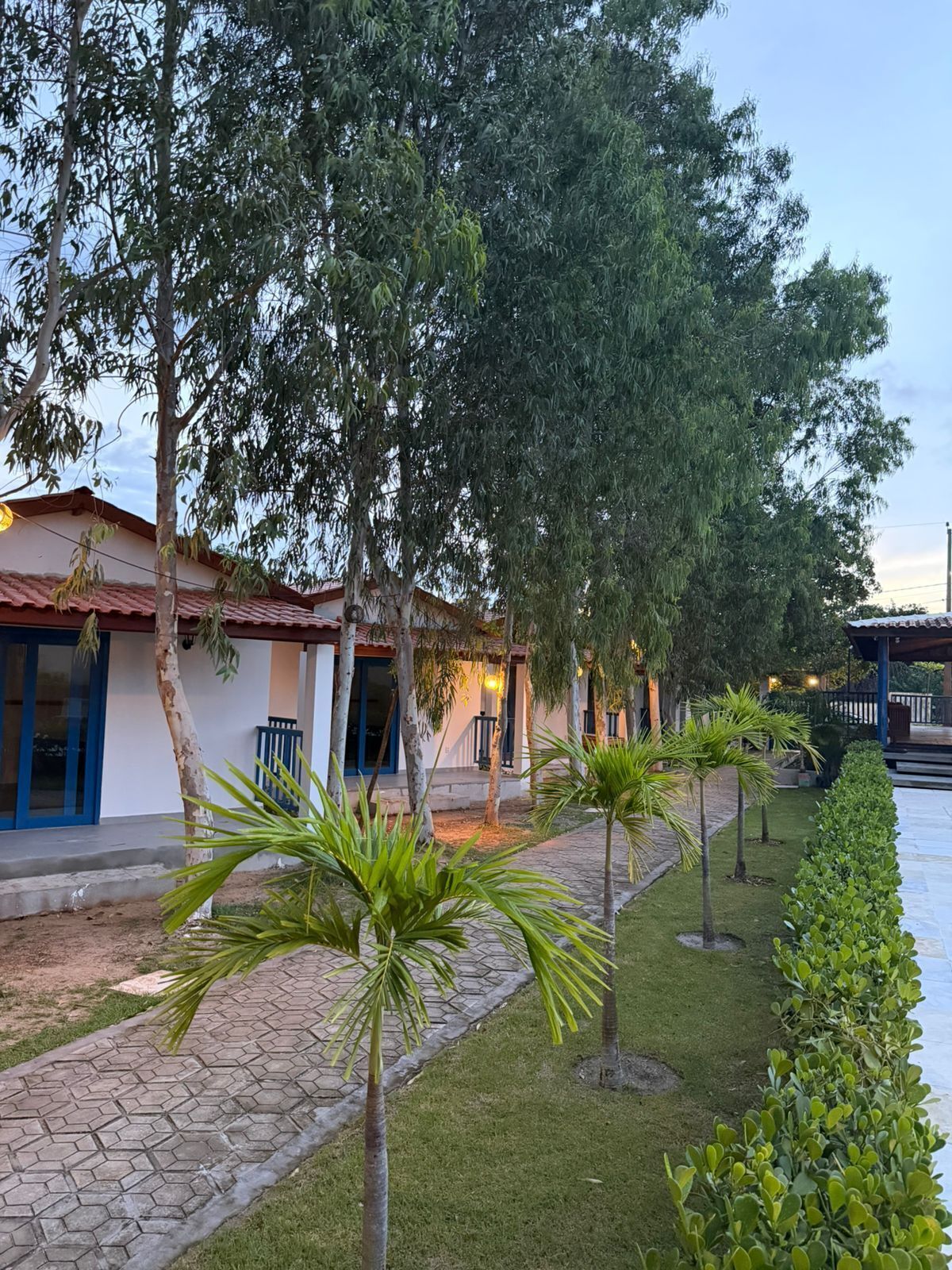 Área da propriedade
