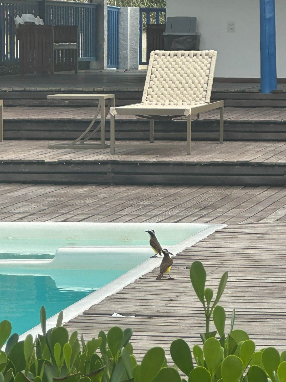 Piscina externa