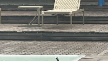 Piscina externa