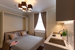 1 bedroom, iron/ironing board, travel cot, free WiFi - Standard Studio by Dmontrio (London)