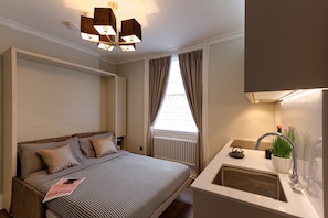 Iron/ironing board, travel cot, free WiFi, bed sheets - Standard Studio by Dmontrio (London)