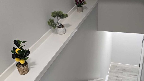 En trappa med ett ledstång, en hylla med krukväxter och ett trägolv.