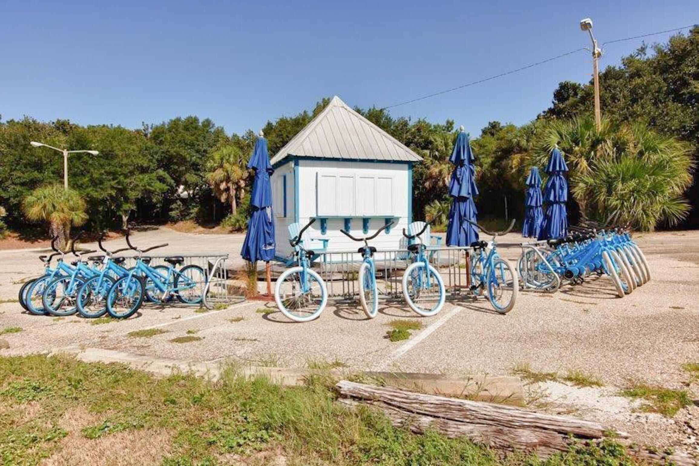 A small white building with a blue roof, surrounded by bicycles and blue umbrellas.