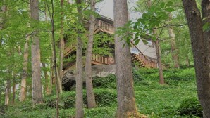 A wooden staircase leading up to a building surrounded by trees and greenery. - Updated Chimney Rock cabin - Views & River Sounds (Chimney Rock)
