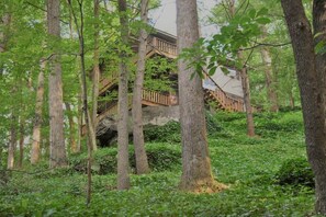 Eine Holztreppe führt zu einem Gebäude, das von Bäumen und Grün umgeben ist.